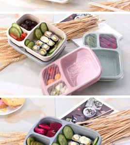 Detail shot of multi-compartment plastic lunch boxes filled with sushi and fruit