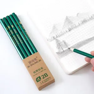 Professional set of green hexagonal 2B drawing pencils with paper box and sketch