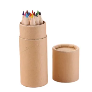 Set of high-quality multi-colored drawing pencils in eco-friendly kraft paper tube