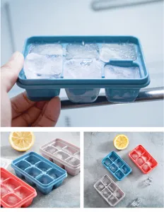 Detailed view of the 6-cell ice cube tray featuring a flexible bottom and protective lid