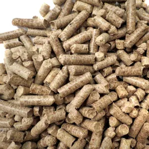Primer plano de pellets de madera de manzana de 8 mm para ahumar y calentar