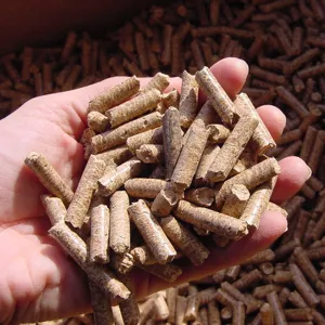Primer plano detallado de pellets de biomasa de madera de manzana de 8 mm para fumar
