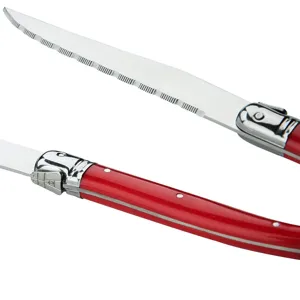 Stainless steel steak knife with ergonomic red handle and serrated blade for kitchen