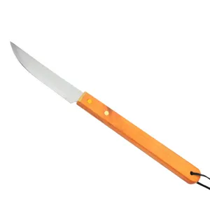 Professional BBQ meat knife featuring a sharp stainless steel blade and a natural wooden handle