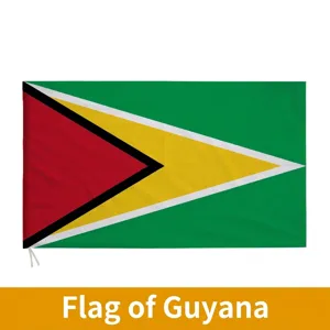 Guyana Nationalflagge Polyester Siebdruck Goldene Pfeilspitze Flagge Für Außen Innen Dekoration Feier Banner