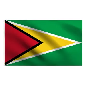 Detail der 90x150cm Nationalflagge von Guyana aus strapazierfähigem Polyestergewebe