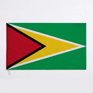 Große 90x150cm Guyana Nationalflagge aus strapazierfähigem Polyester für außen