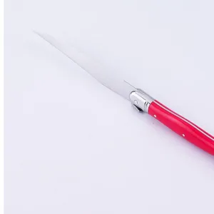 Sleek stainless steel western steak knife featuring a vibrant red handle and polished bolster.