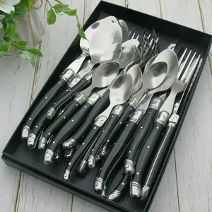 Hochwertiges Laguiole-Besteckset mit schwarzen Griffen aus Edelstahl im Geschenkkarton