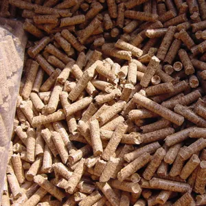 Primer plano de pellets de biomasa de madera de manzana de 8 mm para ahumado y calefacción
