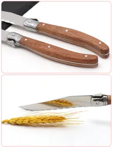 Close-up of stainless steel steak knife with sapele wood handle and serrated blade.