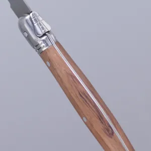 Macro detail of Laguiole steak knife featuring traditional bee motif and wood handle
