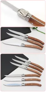 Detailed macro view and set of Laguiole style steak knives with Sapele wood handles