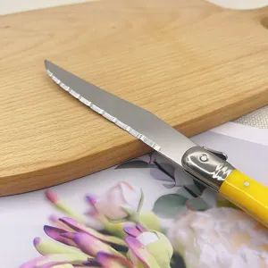 Close-up of serrated stainless steel Laguiole steak knife with yellow handle