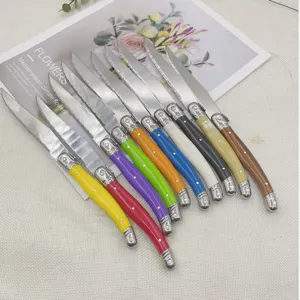 Professional set of ten colorful Laguiole steak knives with stainless steel blades