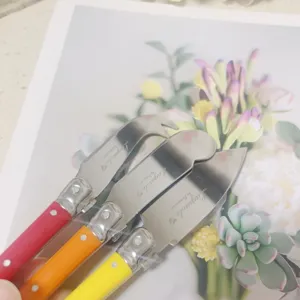 Detailansicht von Laguiole Käsemessern mit bunten Griffen von Flyingcolors