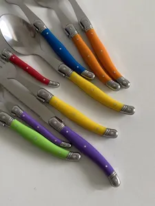 Detail view of colorful Laguiole style cutlery set featuring vibrant rainbow handles
