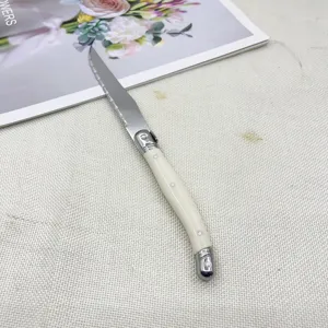 Detail view of Laguiole steak knife with ivory white handle on textured background