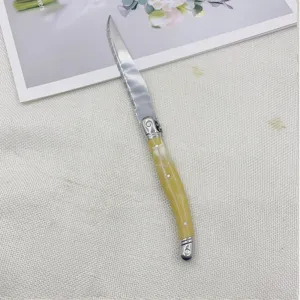 Macro detail of a Laguiole steak knife with amber handle on a neutral background