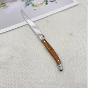 Detailed view of a Laguiole stainless steel steak knife with serrated blade and wooden handle