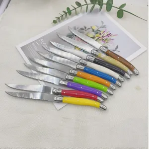 Set of ten colorful Laguiole steak knives with stainless steel serrated blades and bee logo