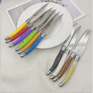 Detailed view of vibrant colorful Laguiole steak knives set with bee motif on white plate