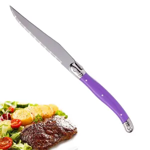 Laguiole stainless steel steak knife with vibrant purple handle and serrated blade.