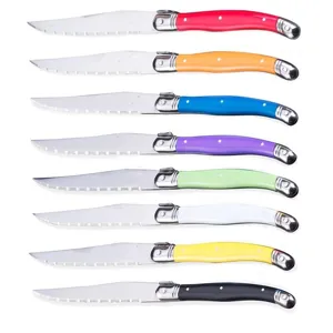 Premium set of 8 colorful Laguiole stainless steel steak knives with sharp serrated blades