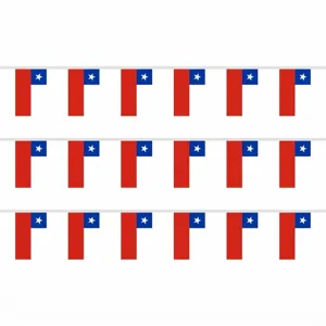 Chilean national flag bunting string for festive celebrations and outdoor event decoration