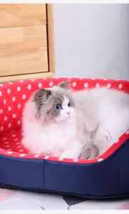 Detailed view of a cozy blue and red polka dot pet bed with a fluffy cat resting inside