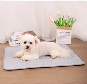 Kleiner weißer Hund auf einer gesteppten grauen Kühlmatte für Haustiere im hellen Zimmer