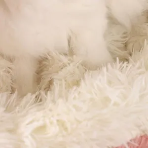 Panier pour chat en peluche longue blanche ultra-douce avec texture soyeuse