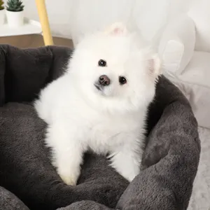 Cozy plush winter pet bed for small dogs and cats, soft dark grey deep sleep dog nest.