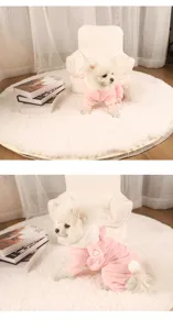 Close-up of white Pomeranian wearing pink fleece rabbit pet onesie in cozy room