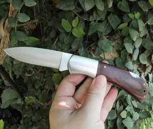 Close-up of a stainless steel folding knife with a natural wood handle