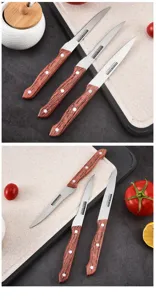 Juego profesional de cuchillos de acero para fruta y carne con mango efecto madera fina