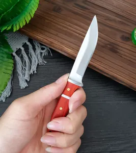 Primo piano di un piccolo coltello utilitario in acciaio al carbonio con manico rosso