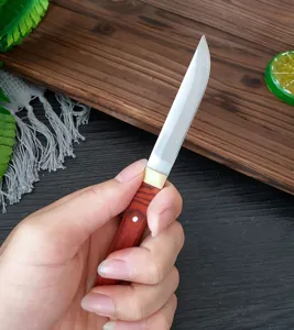 Primo piano di una mano che tiene un coltello da frutta in acciaio al carbonio con manico.