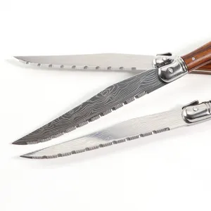 Stainless steel steak knife set with wood handle and serrated blade for dining table.