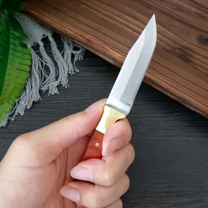 Coltello da frutta in acciaio al carbonio fatto a mano con manico in legno per cucina