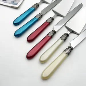 Close-up of elegant stainless steel cake knife and server set with colorful handles