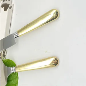Elegante set di coltello e paletta per torta in acciaio inox con manici dorati di lusso