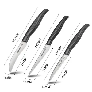 Professional 3-piece stainless steel fruit carving knife set with detailed dimensions