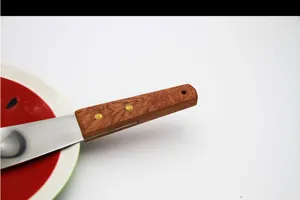 Close-up of ergonomic rosewood handle with brass rivets on the ice cream scoop spatula