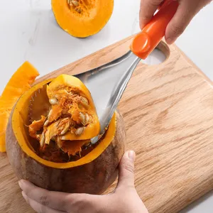 Décoreuse de Citrouille en Acier Inoxydable Cuillère à Fruits Outil de Retrait de Graines de Légumes Avec Poignée en Plastique Ergonomique Gadget de Cuisine