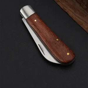 Detail view of a folding mushroom knife with curved blade and wooden handle