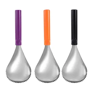 Cuillère à citrouille en acier inoxydable et outil de cuisine pour graines avec poignée colorée.