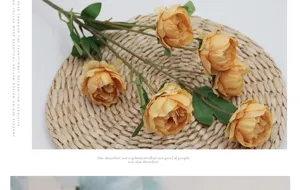 Vue détaillée de six têtes de pivoines artificielles champagne sur tapis paille