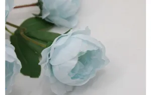 Gros plan détaillé montrant la texture délicate des pétales d'une pivoine en soie