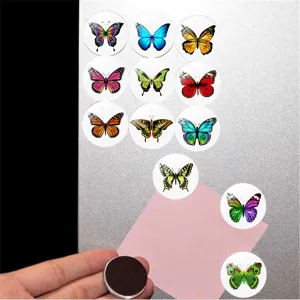Vue détaillée d'aimants en verre papillon colorés sur une surface de frigo en métal